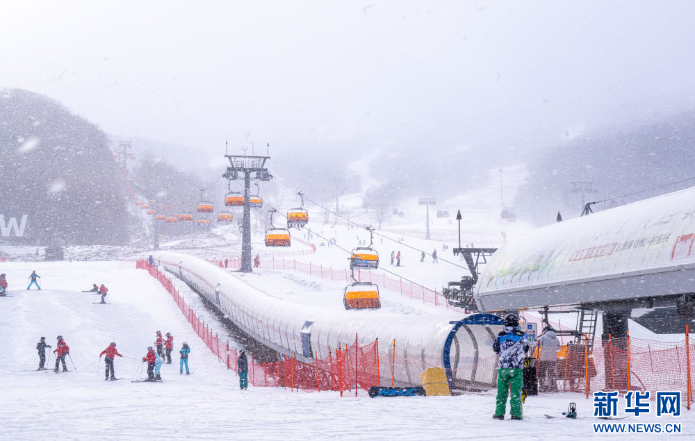 旅遊熱、消費火、投資忙——東北冰雪經濟釋放“熱動能”