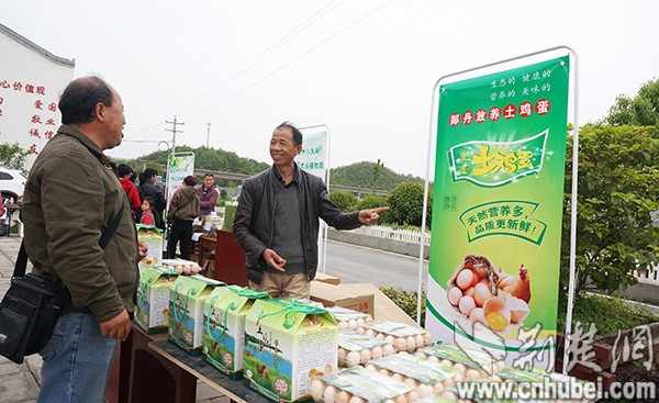 【汽車旅遊圖片】【十堰】【主頁標題】丹江口全域四季遊走進丁家營【內容頁標題】丹江口全域四季遊走進丁家營 遊客紛至遝來賞美景嘗美食尋鄉愁