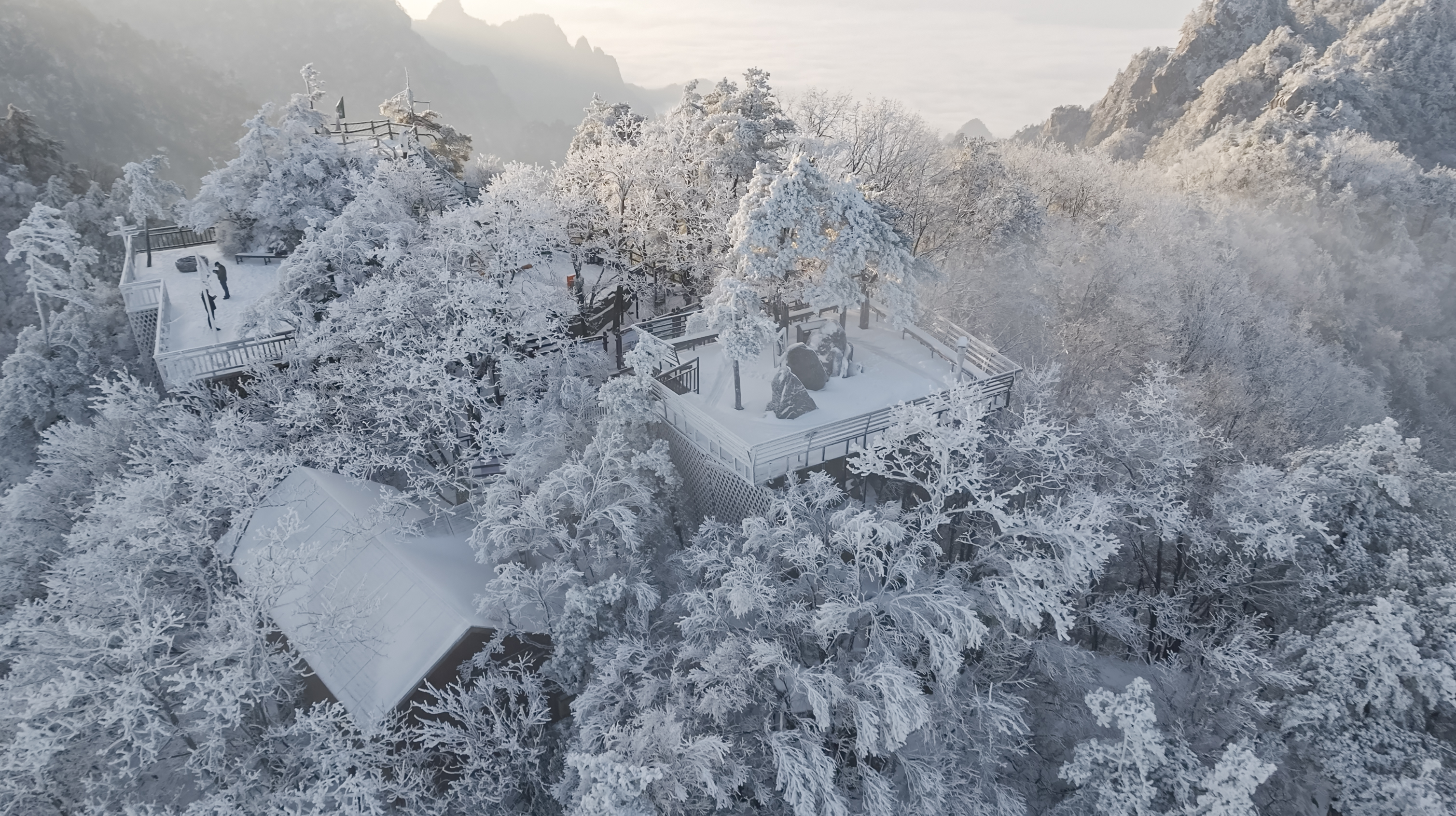 飞雪落成诗 一秒入仙境！雪后河南 美出“天际”