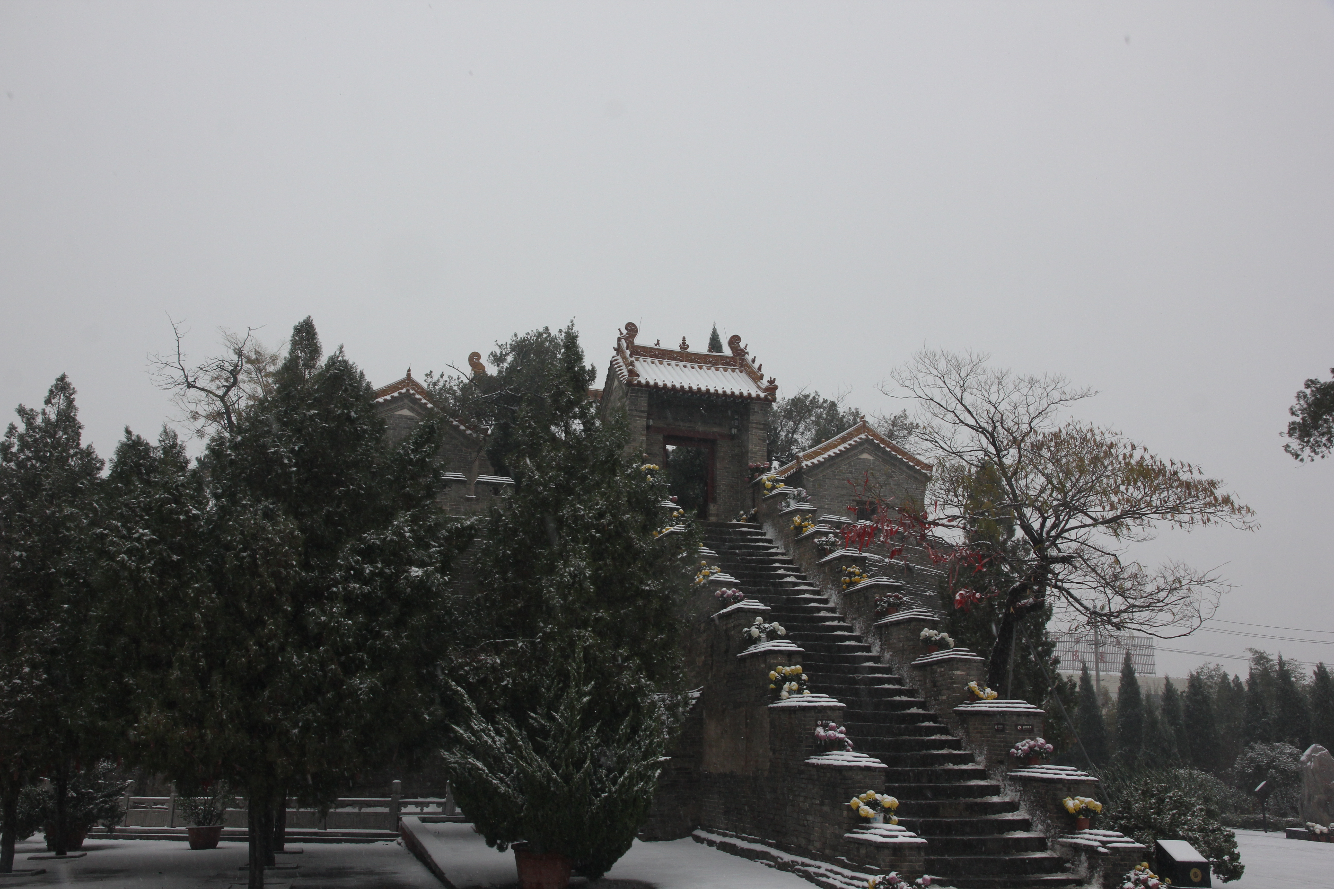 飞雪落成诗 一秒入仙境！雪后河南 美出“天际”