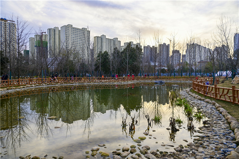 南阳申伯公园：市民尽享西周文化_fororder_申伯公园内的水系+摄影+张峰