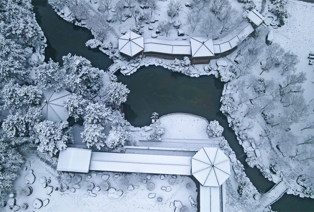 雪后唐苑宛如水墨画