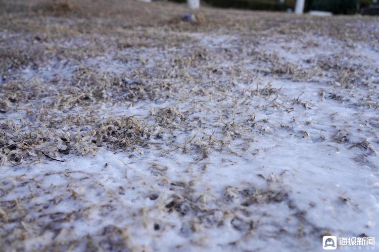 海浪被“冰封”！青岛海边再现“冰挂”奇观！