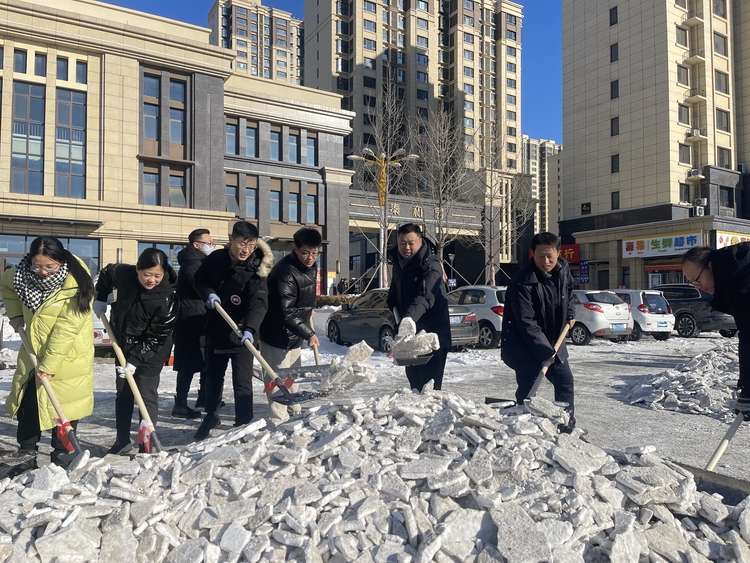 唐山路北：“以雪为令”双报到  志愿服务暖人心_fororder_路北区疾控中心组织党员干部到秦华楼社区开展“双报到”扫雪志愿服务。王姗姗 摄