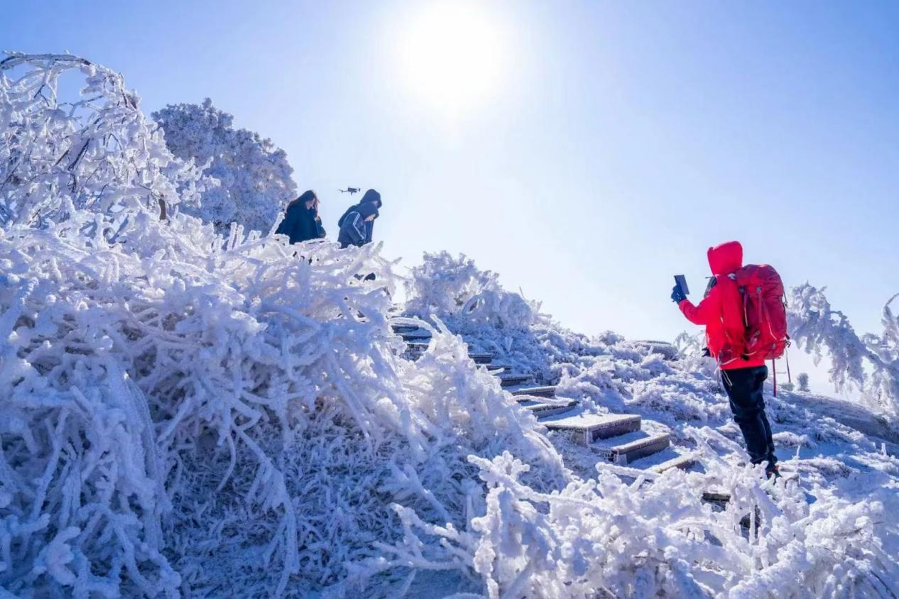 【原创】雪后初晴的临沂天蒙山银装素裹_fororder_图片4