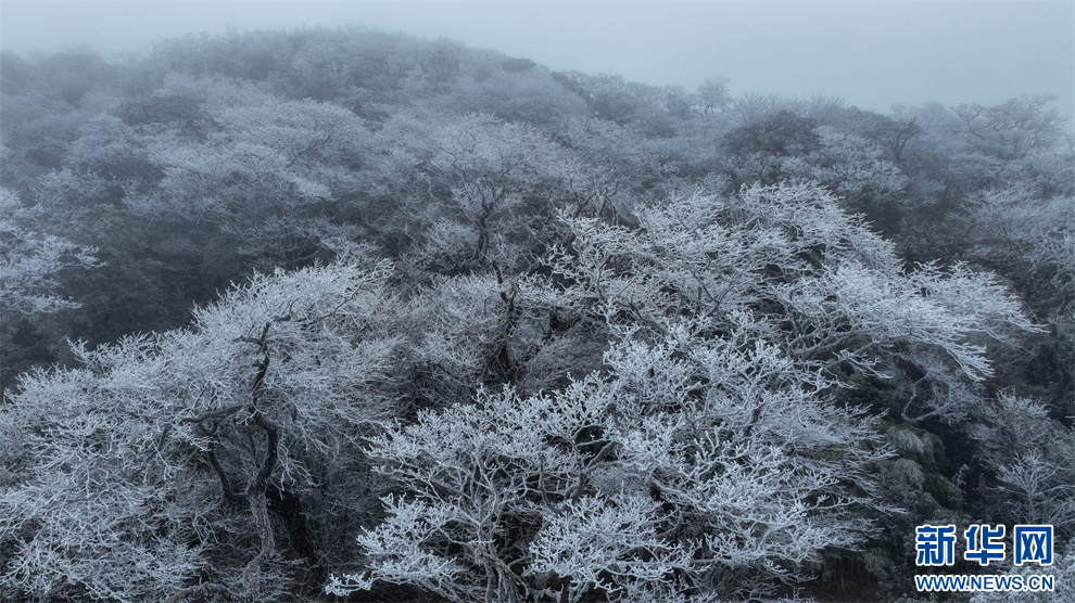 贵州梵净山：玉树琼花美如童话世界