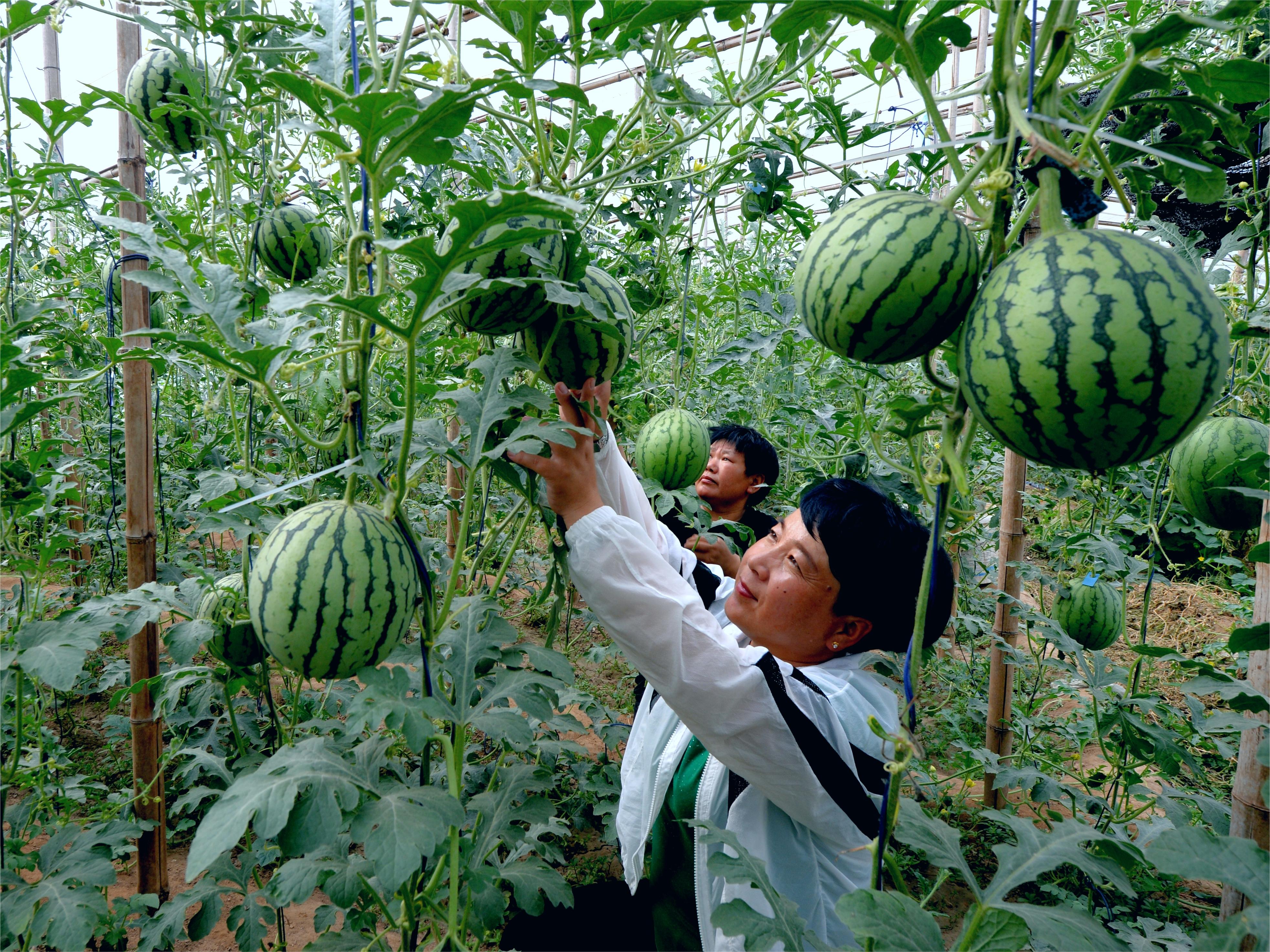 图片默认标题_fororder_2