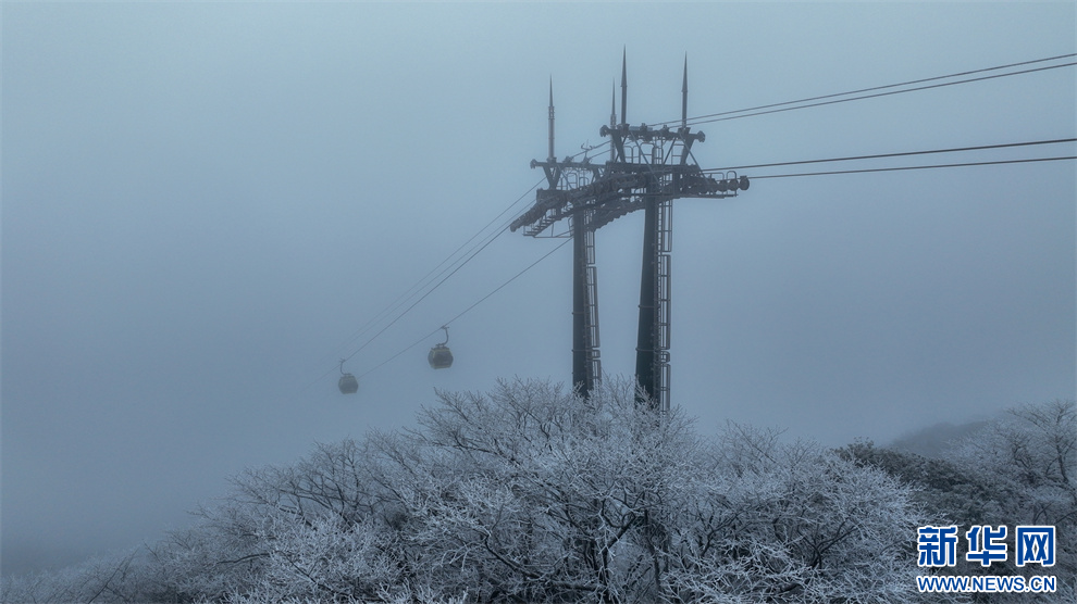 贵州梵净山：玉树琼花美如童话世界