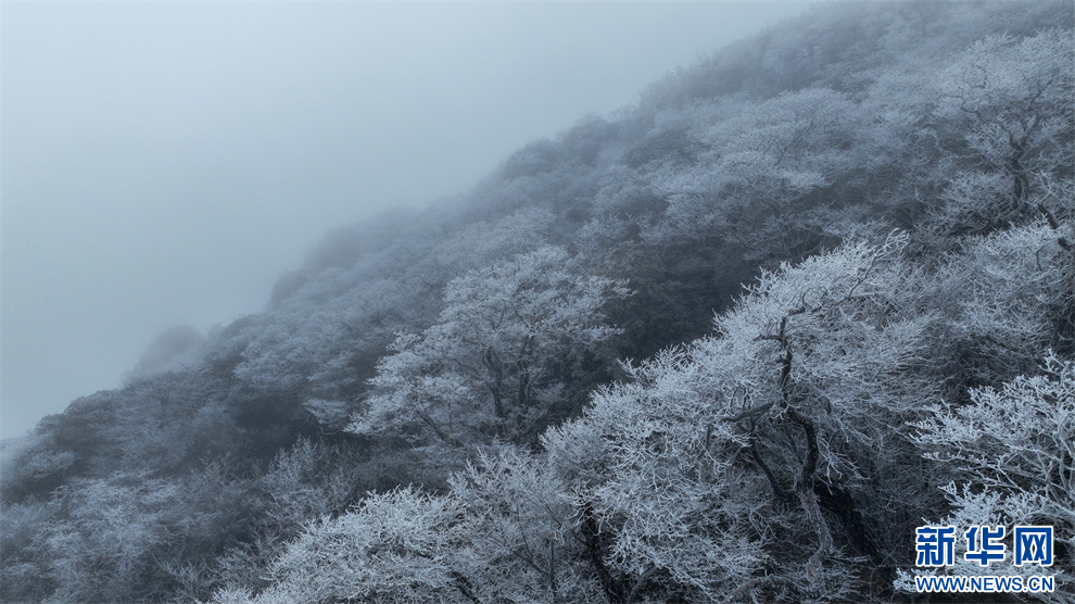 贵州梵净山：玉树琼花美如童话世界