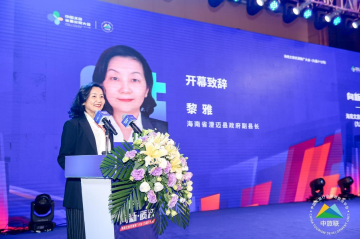 海南文旅资源推广大会（九届十七场）举办_fororder_1