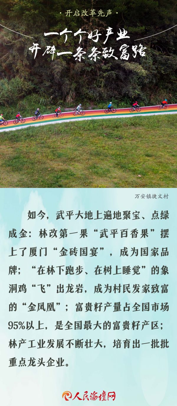 【大国新村：沿着总书记的足迹】海报 | 福建武平：万重青山富裕了万千林农