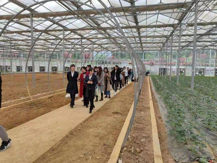 “三位一体” 助力乡村振兴 ——贵州大学经济学院开辟农经人才培养体系建设新路径