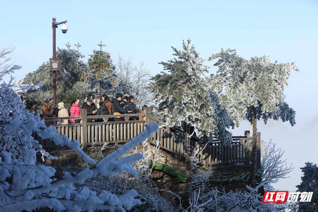 张家界国家森林公园冬天有多美？ 这组雪后大片饱眼福