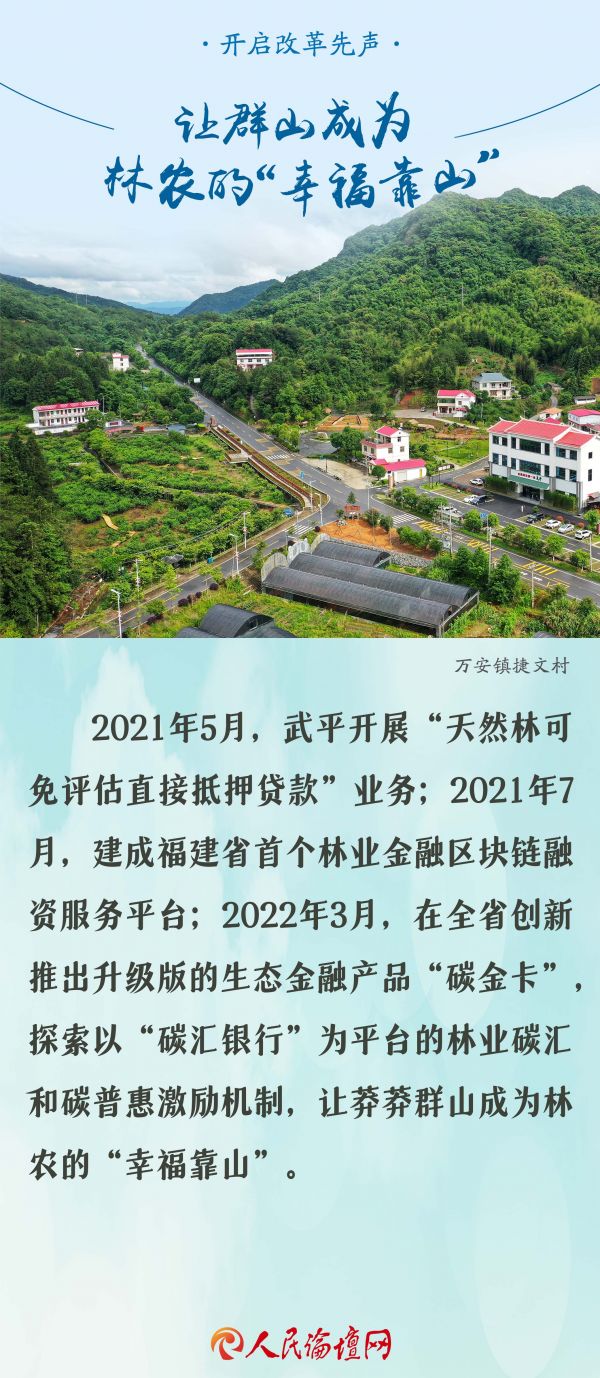 【大国新村：沿着总书记的足迹】海报 | 福建武平：万重青山富裕了万千林农