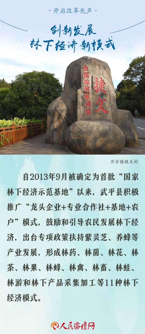 【大国新村：沿着总书记的足迹】海报 | 福建武平：万重青山富裕了万千林农