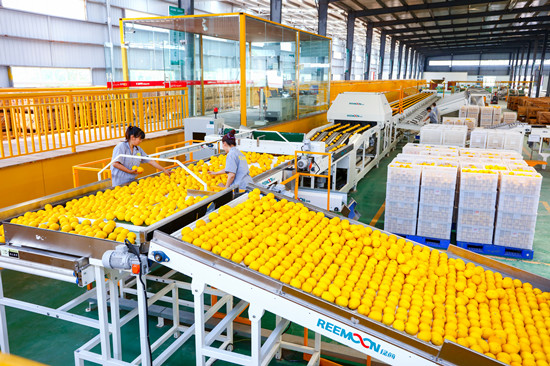 【CRI專稿 列表】“小果子”成“大産業” 重慶潼南國際檸檬節即將啟幕