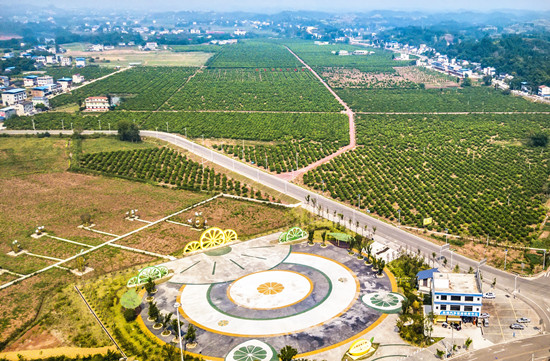 【CRI专稿 列表】“小果子”成“大产业” 重庆潼南国际柠檬节即将启幕