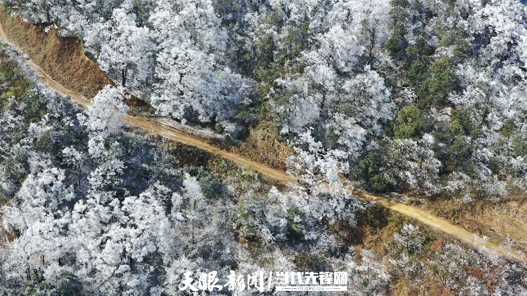 贵州剑河：老山界雾凇美如画卷