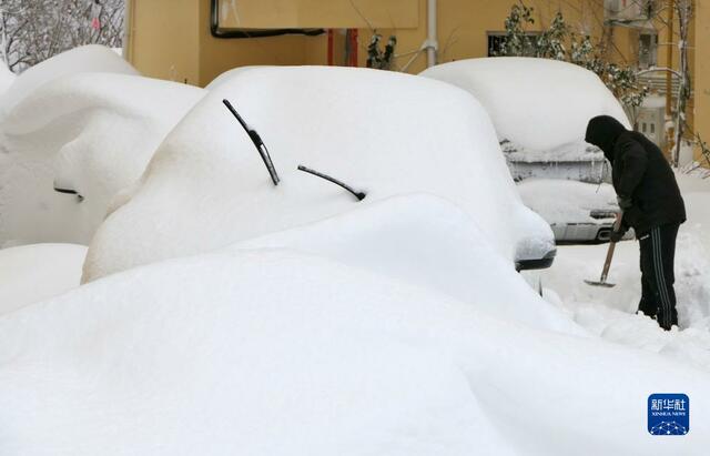 山东烟台积雪深度已突破历史纪录