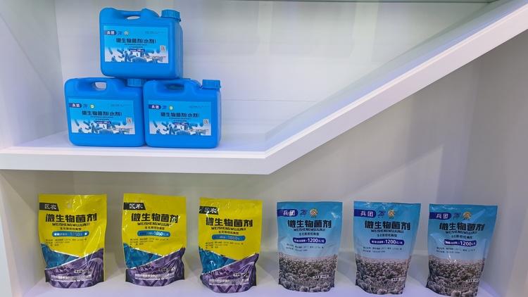 追着雪花看新疆丨农田变良田 这里有把提质不减产的“钥匙”