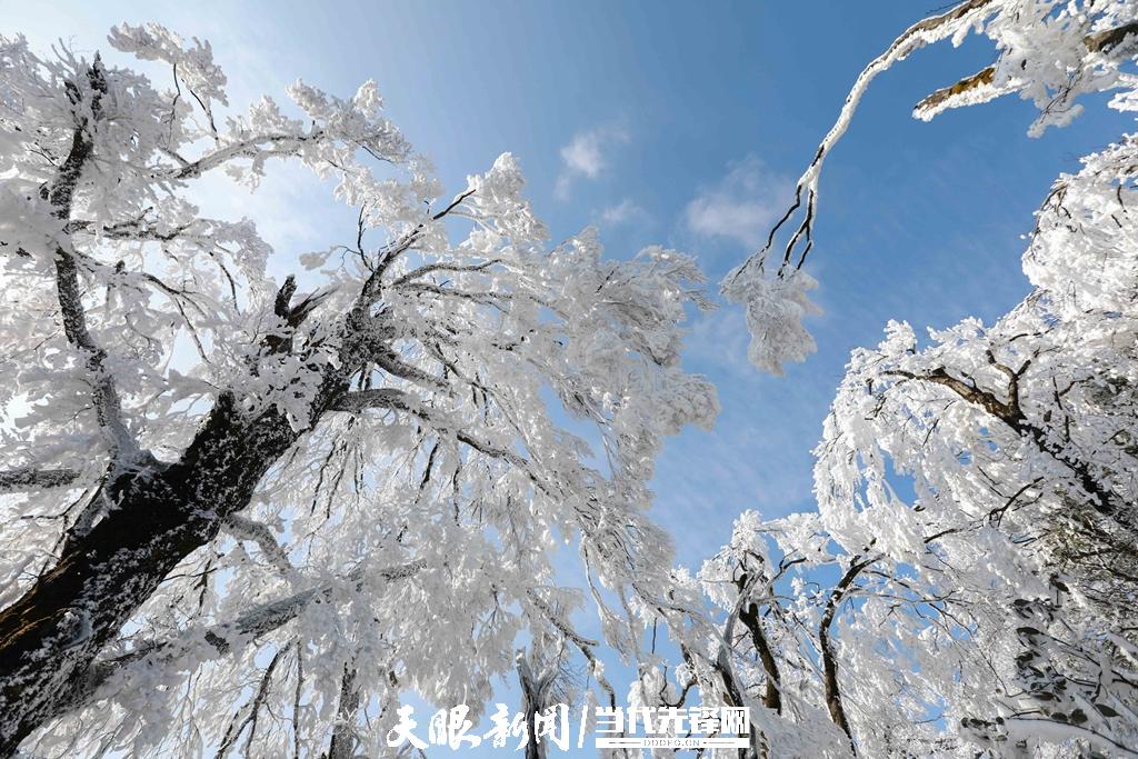 贵州剑河：老山界雾凇美如画卷