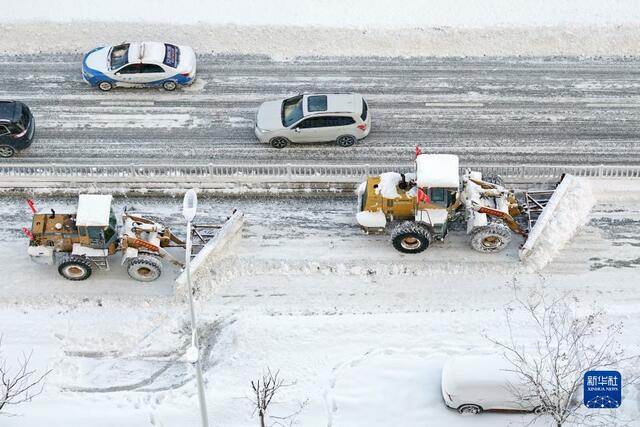 山东烟台积雪深度已突破历史纪录