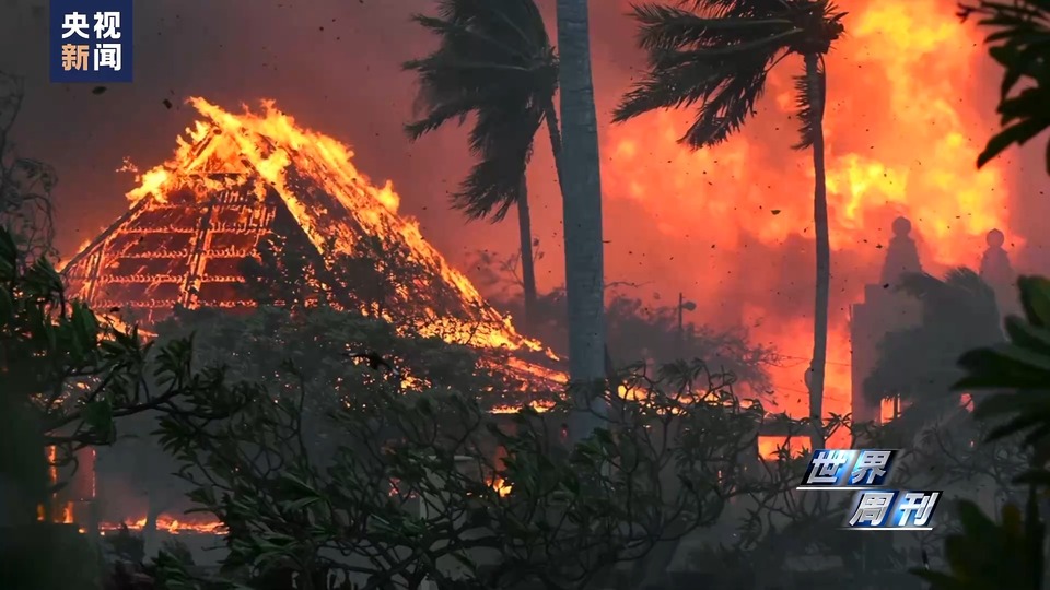 世界周刊丨“极端天气”背后