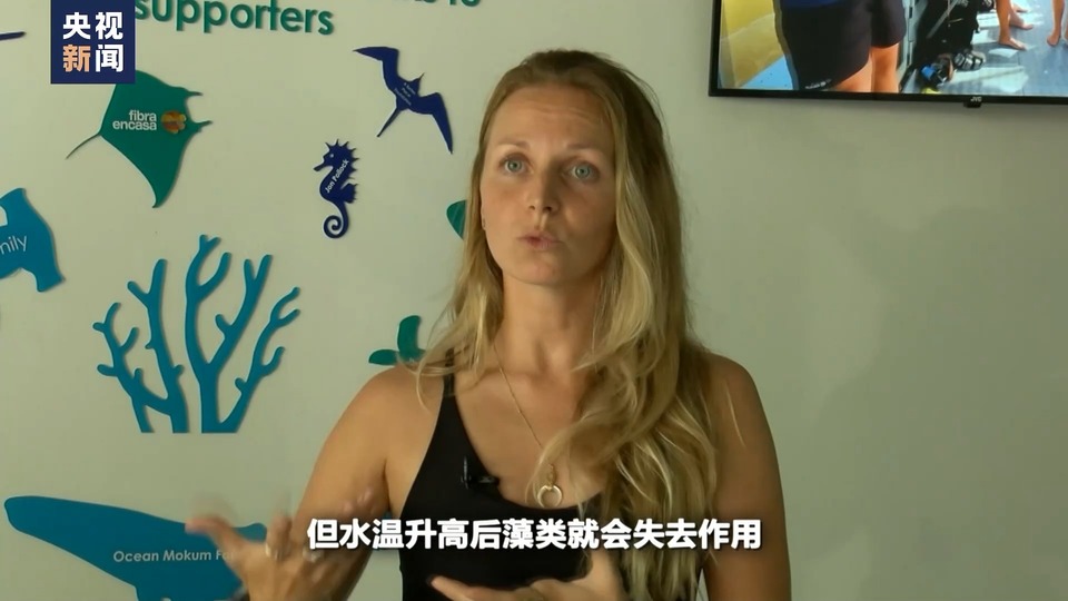 世界周刊丨“极端天气”背后