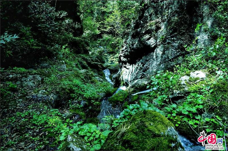 神奇秘境四川广元水磨沟  旖旎风光尽藏秦巴