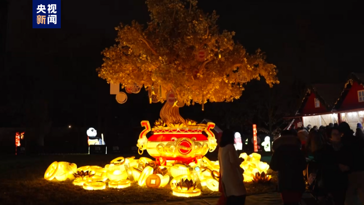 小笼馒头“游出海” 在法国品尝“中国味道”