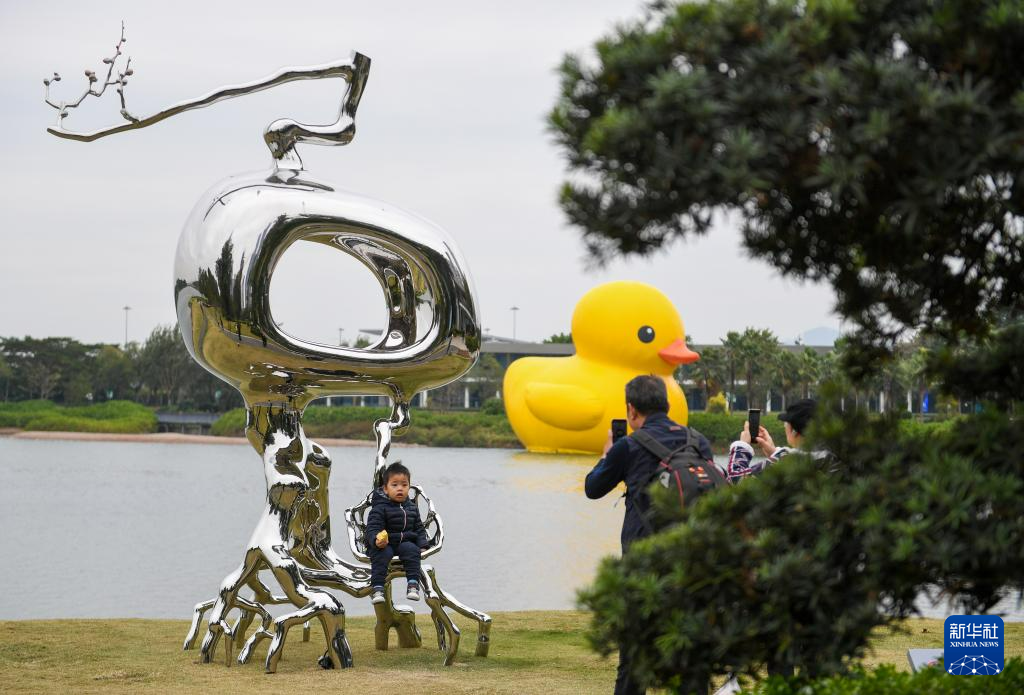 “大黄鸭”遨游深圳湾_fororder_娃