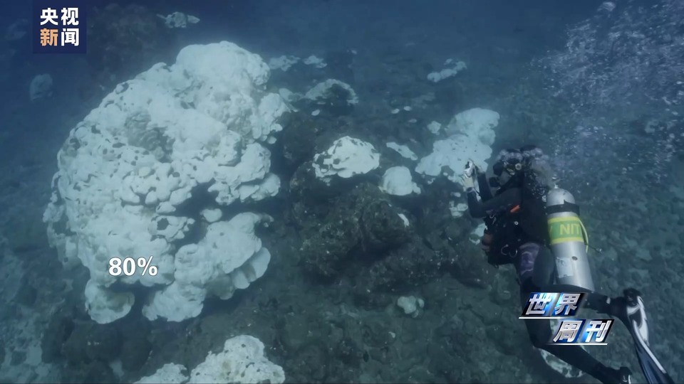 世界周刊丨“极端天气”背后