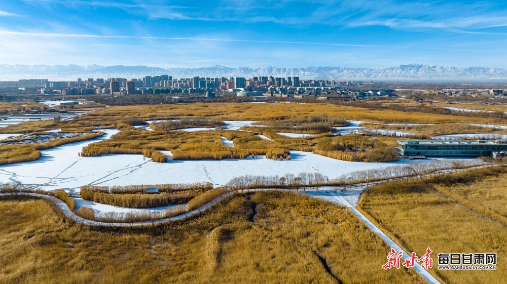 【大美甘肅】雪後張掖濕地公園別樣美_fororder_2