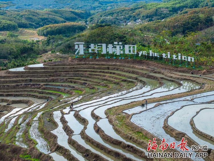 五指山牙胡梯田春耕忙_fororder_2c925c668cfae9a5018d367271580d3d