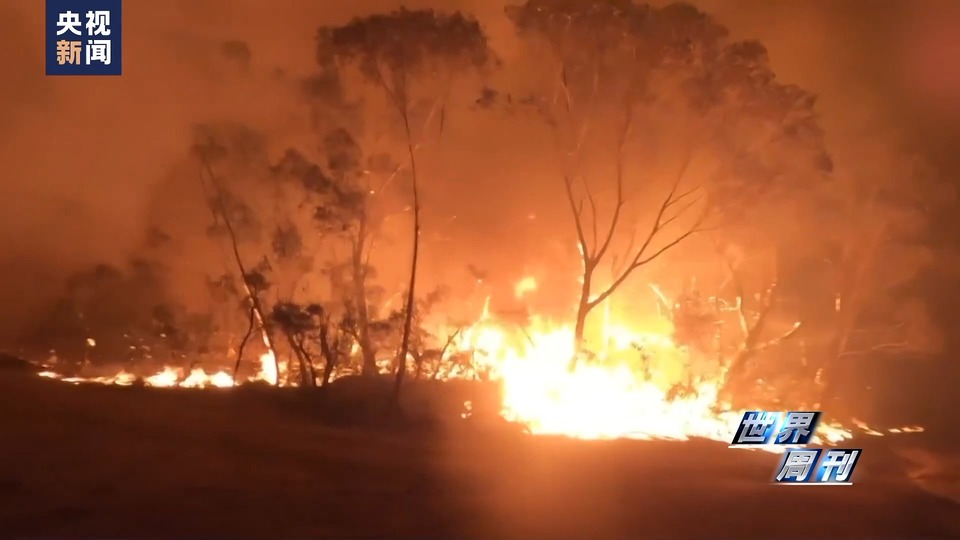 世界周刊丨“极端天气”背后