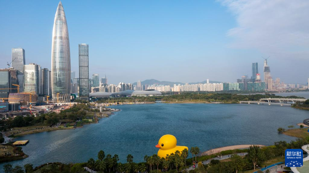 “大黄鸭”遨游深圳湾_fororder_大长今