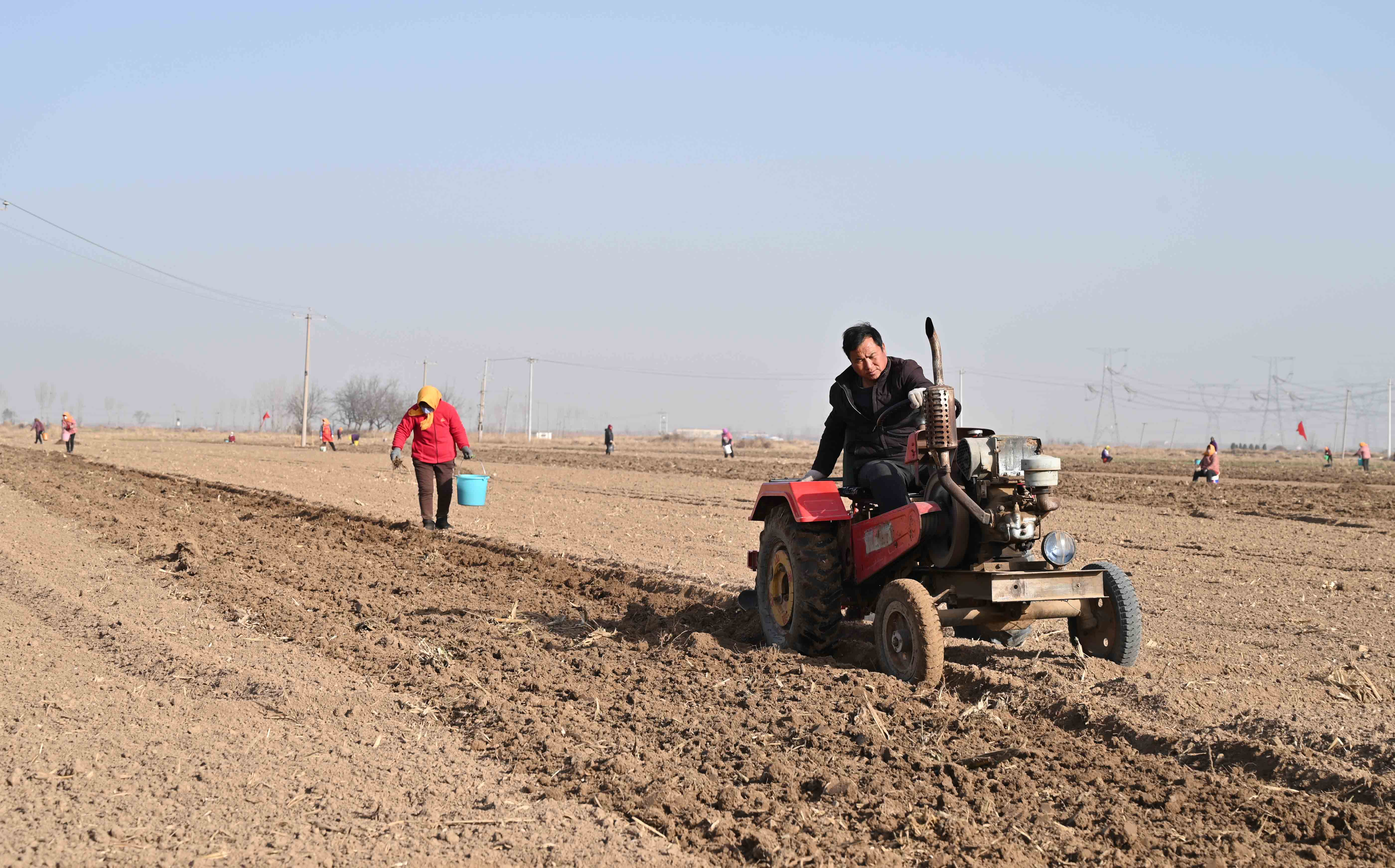 河北盐山：发展中草药种植 助力乡村振兴_fororder_图片5