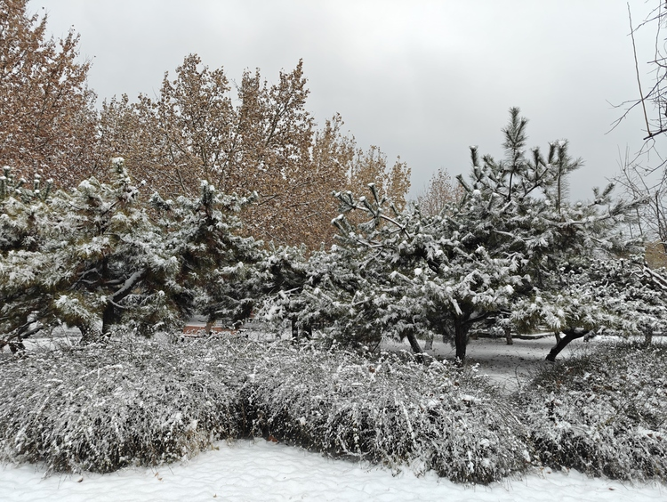 Парк Дунхуань города Шицзячжуан: зима в серебряном наряде_fororder_图片9