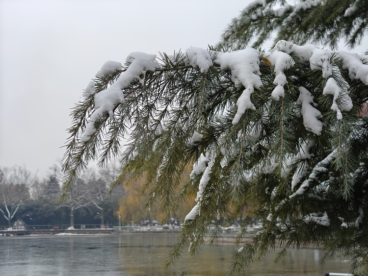 Парк Дунхуань города Шицзячжуан: зима в серебряном наряде_fororder_图片13