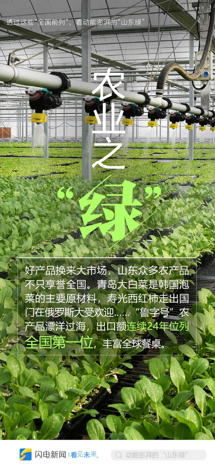 透过这些“中国前列”，看动能澎湃的“山东绿”
