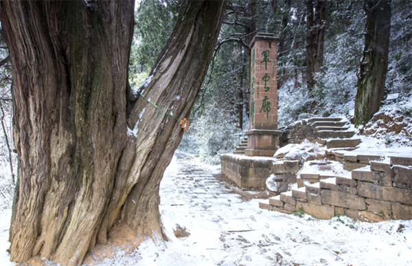 图集｜世界奇观翠云廊 银装素裹分外美_fororder_未标题-1