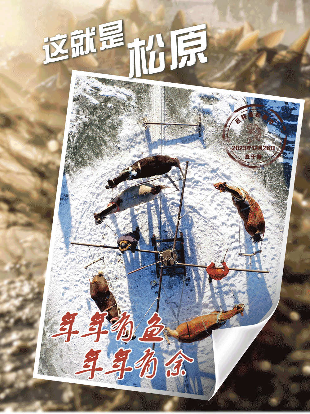 来自查干湖的明信片，邀您共赏“冰湖腾鱼”