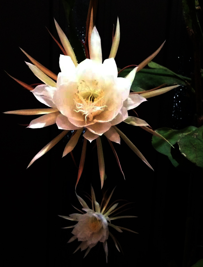 图片默认标题_fororder_1054893641 800