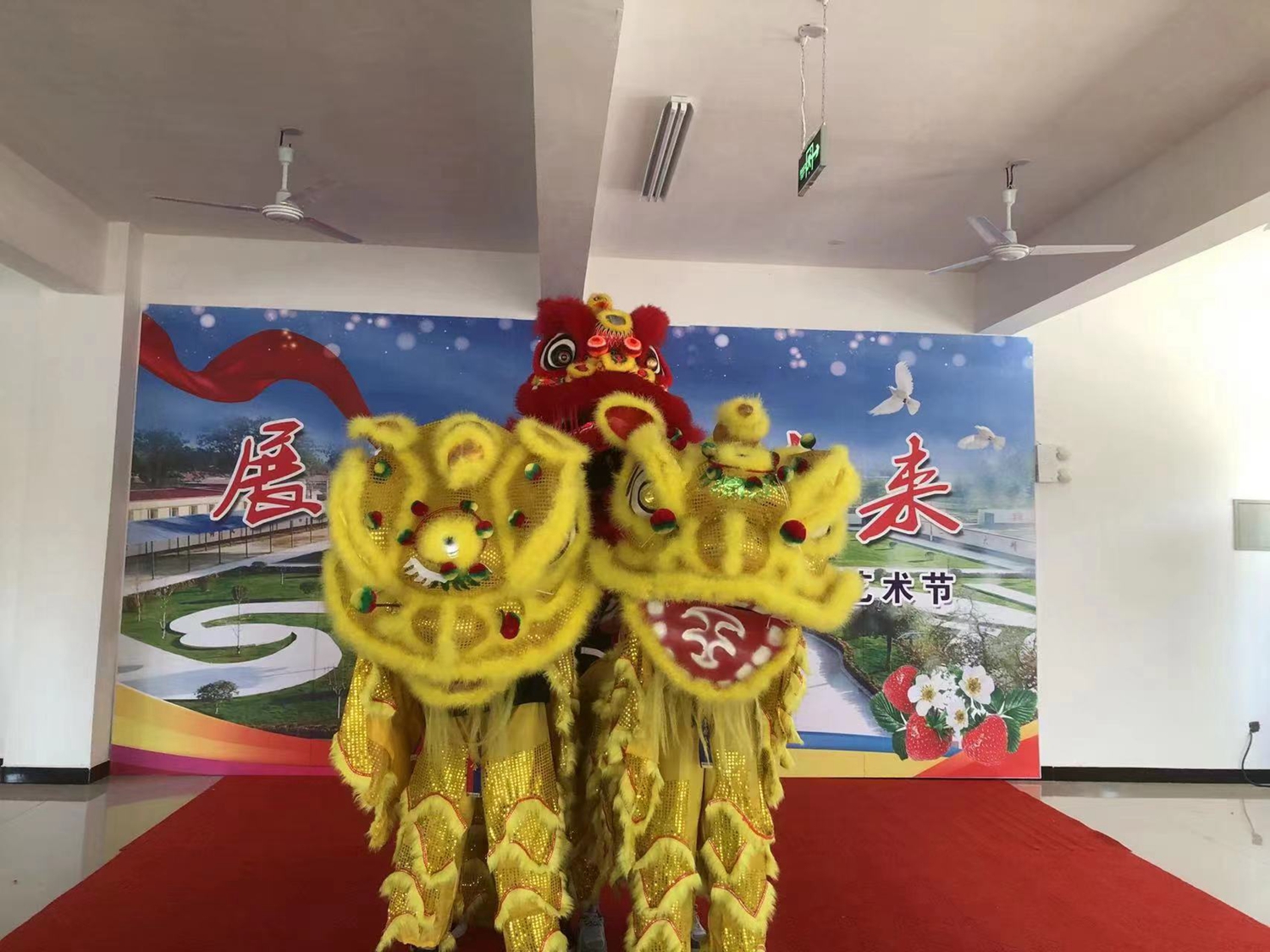 保定市满城区开展“双争”有我 非遗进校园活动_fororder_满城区舞狮队进行表演 摄影 彭耀霄