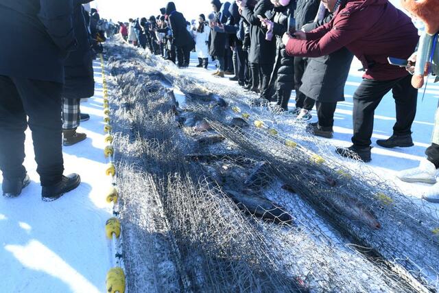 黑龙江冷水养出“热”经济_fororder_t3J5f7DYIlsuLaji