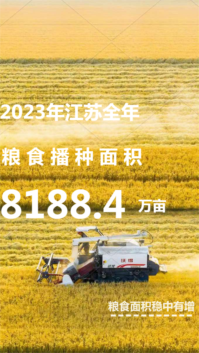 總産量759.5億斤 2023年江蘇糧食生産再獲好收成