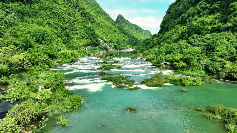 水清岸绿生态美 中华秋沙鸭到柳州越冬