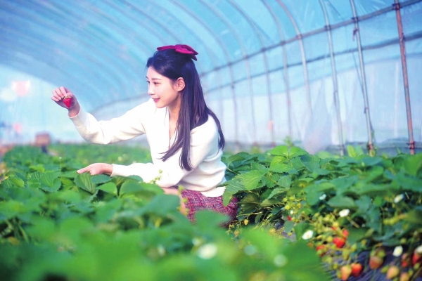 千年石鼓，向美向诗向青春_fororder_4