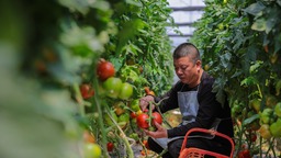 福州：推动农业综合生产能力稳步提高