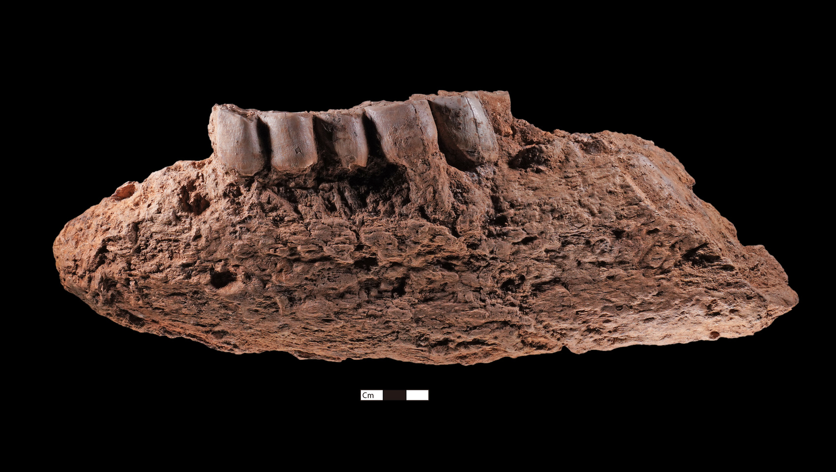 （转载）揭秘：资阳濛溪河遗址为何入选中国六大考古新发现